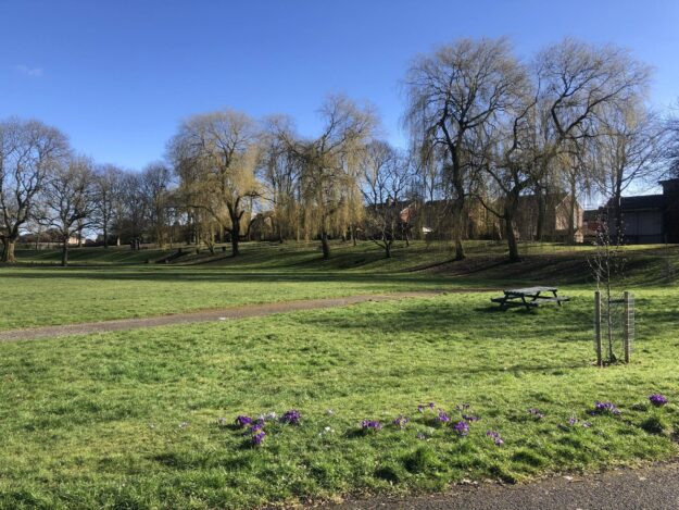 IMG_6149 An image of Crumpsall park